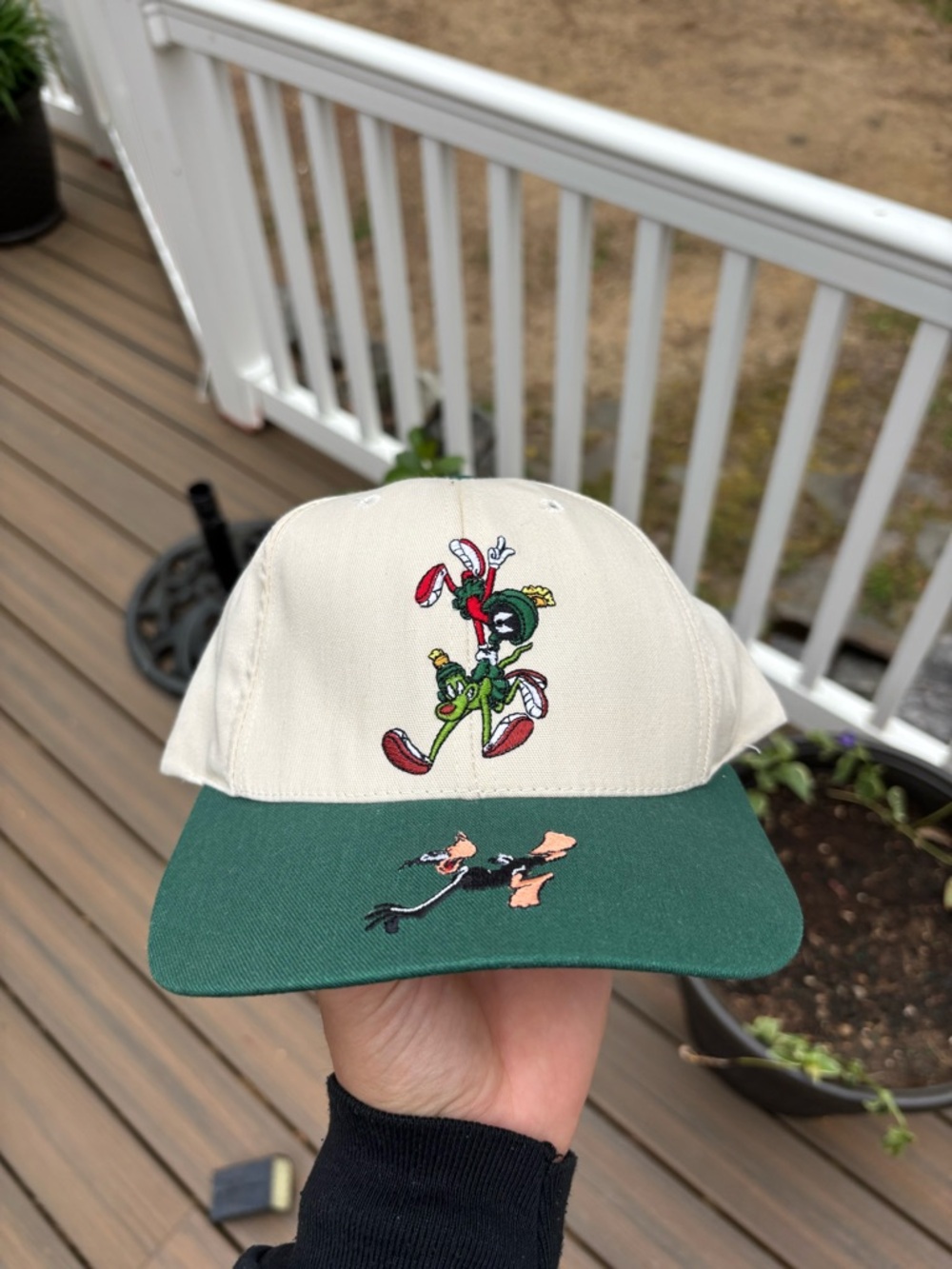 Vintage Looney Tunes Marvin Daffy Duck Warner Bros Snapback Green Hat